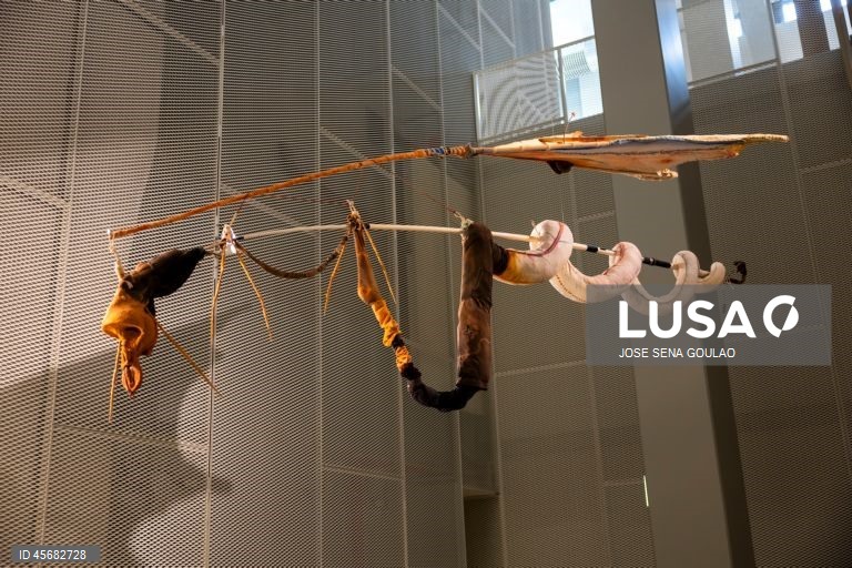 Visita guiada às três novas exposições do Centro de Arte Moderna (CAM) Gulbenkian, “Xerazade, a Coleção Interminável do CAM”, “Zineb Sedira. Standing Here Wondering Which Way to Go” e “Francisco Trêpa. Baile dos Bugalhos”, em Lisboa, 18 de setembro de 2025. JOSÉ SENA GOULÃO/LUSA