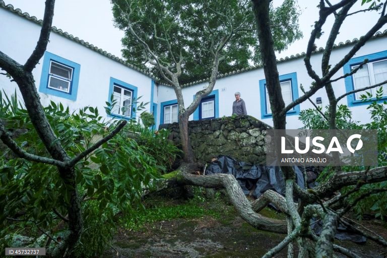 Queda de uma árvore sobre o telhado de uma habitação nos Altares, Angra do Heroísmo, ilha Terceira, Açores, 26 de setembro de 2025. O ciclone tropical Gabrielle que atinge os Açores deixou de ser um furacão de categoria 1 e passou a ser uma depressão pós-tropical, mas as preocupações mantêm-se, segundo o Instituto Português do Mar e da Atmosfera (IPMA). ANTÓNIO ARAÚJO/LUSA