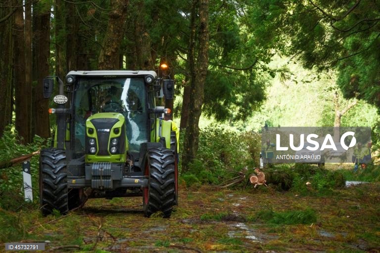 Funcionários municipais procedem à limpeza de uma estrada na sequência da passagem da depressão pós-tropical Gabrielle, nos Altares, Angra do Heroísmo, ilha Terceira, Açores, 26 de setembro de 2025. O ciclone tropical Gabrielle que atinge os Açores deixou de ser um furacão de categoria 1 e passou a ser uma depressão pós-tropical, mas as preocupações mantêm-se, segundo o Instituto Português do Mar e da Atmosfera (IPMA). ANTÓNIO ARAÚJO/LUSA
