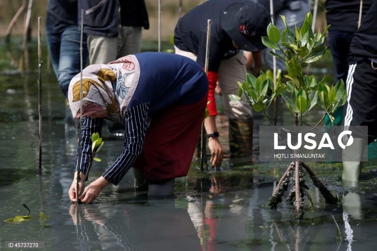 Indonésia: Ação de plantação de manguezais para campanha de turismo sustentável