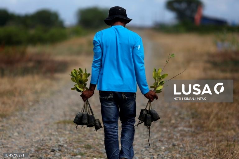 Indonésia: Ação de plantação de manguezais para campanha de turismo sustentável