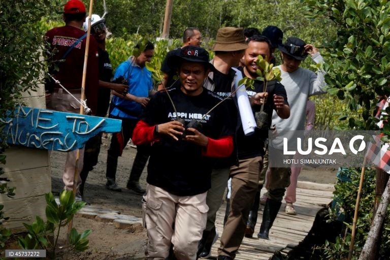 Indonésia: Ação de plantação de manguezais para campanha de turismo sustentável