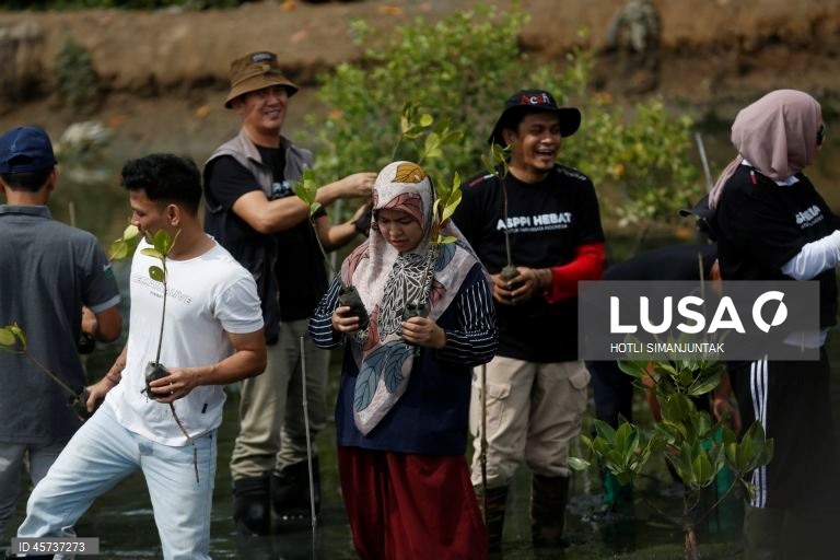 Indonésia: Ação de plantação de manguezais para campanha de turismo sustentável