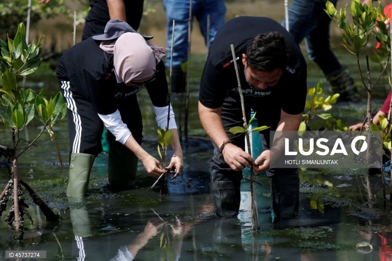 Indonésia: Ação de plantação de manguezais para campanha de turismo sustentável