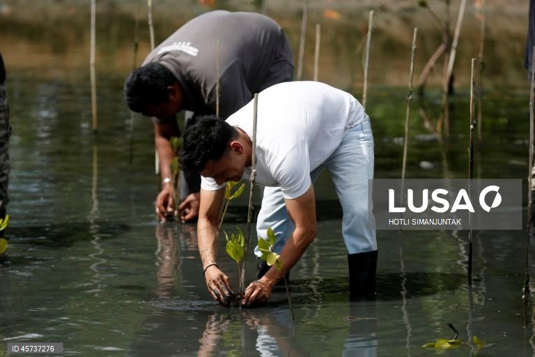 Indonésia: Ação de plantação de manguezais para campanha de turismo sustentável
