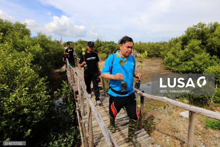 Indonésia: Ação de plantação de manguezais para campanha de turismo sustentável