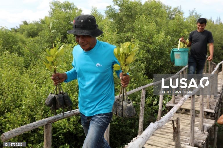 Indonésia: Ação de plantação de manguezais para campanha de turismo sustentável