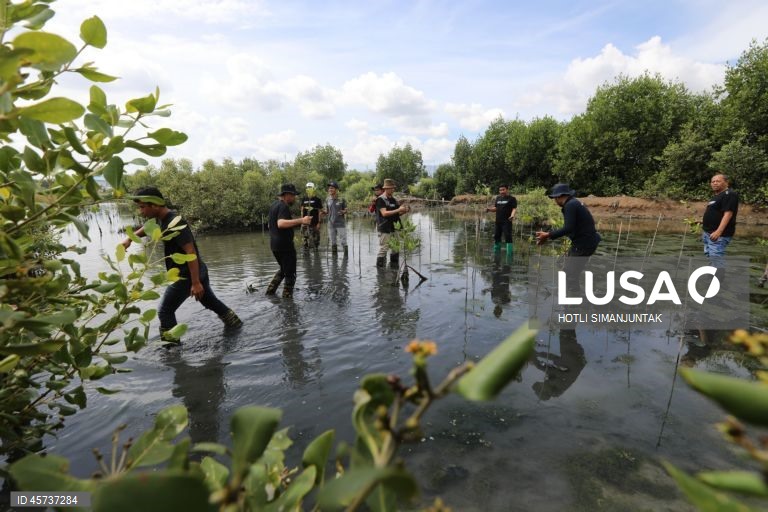 Indonésia: Ação de plantação de manguezais para campanha de turismo sustentável