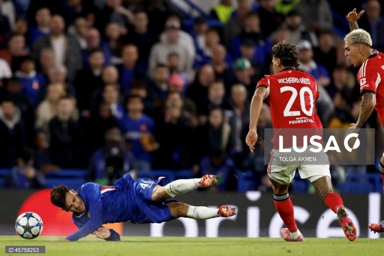 Futebol: Liga dos Campeões - Chelsea vs Benfica