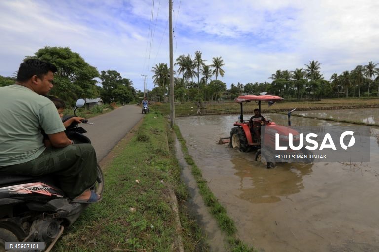Início da época de plantação de arroz na Indonésia