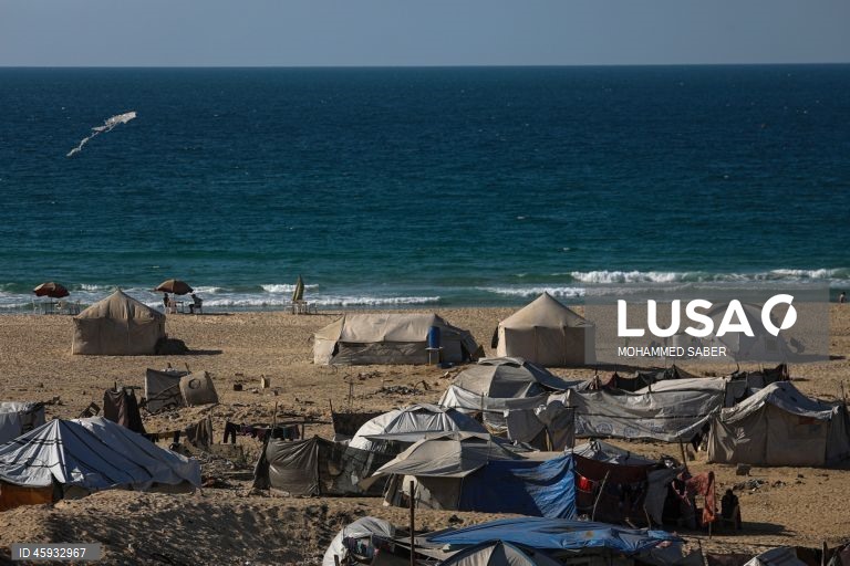 Palestina: Quotidiano em Gaza durante o cessar-fogo