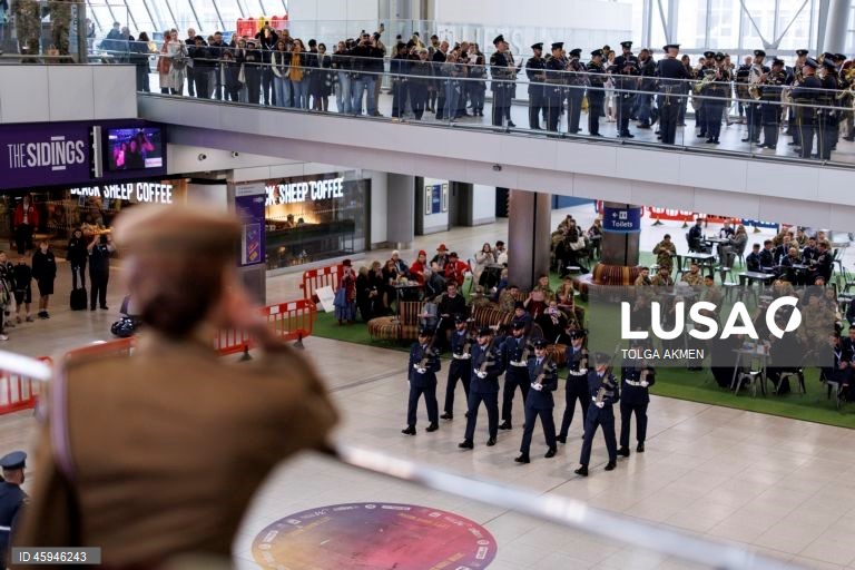 Dia da Papoila em Londres 