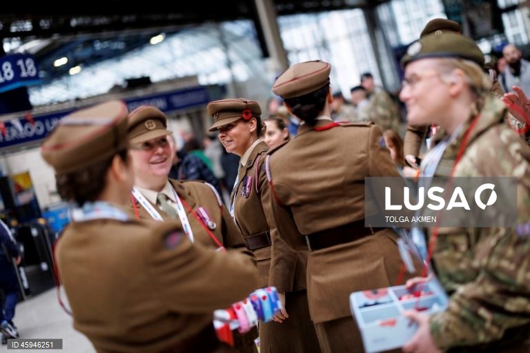 Dia da Papoila em Londres 