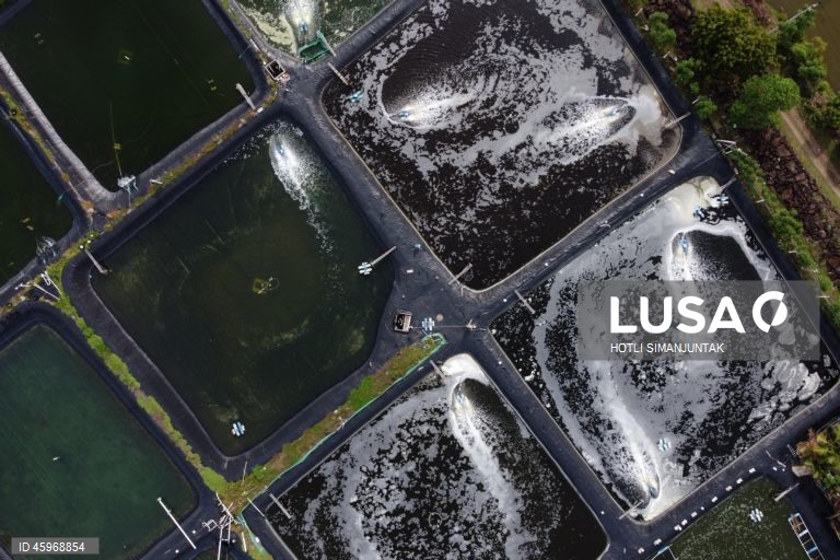 A Indonésia começou a emitir certificados comprovando que os carregamentos de camarão para os Estados Unidos estão livres de contaminação radioativa depois que a Food and Drug Administration (FDA) dos EUA encontrou vestígios do perigoso radionuclídeo Cs-137 em uma amostra no início de agosto de 2025 e levou a FDA dos EUA a exigir a certificação das importações de camarão de locais com risco de contaminação a partir de 31 de outubro.  