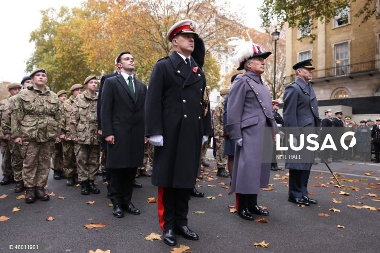 Dia do Armistício em Londres.