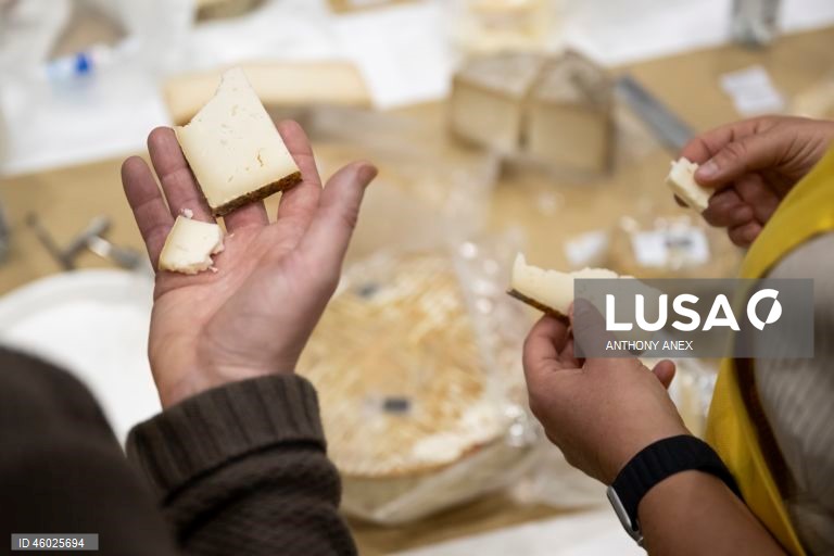 Suíça: 37.ª edição do World Cheese Awards em Berna