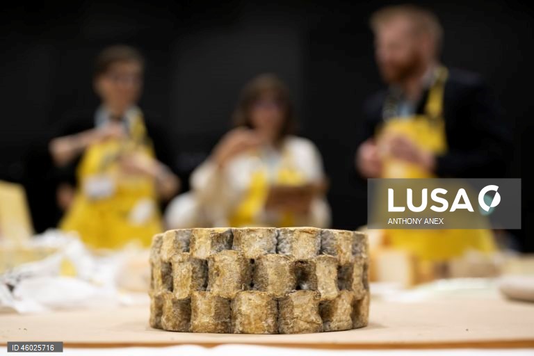 Suíça: 37.ª edição do World Cheese Awards em Berna