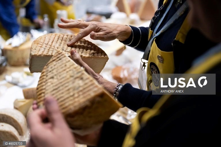 Suíça: 37.ª edição do World Cheese Awards em Berna