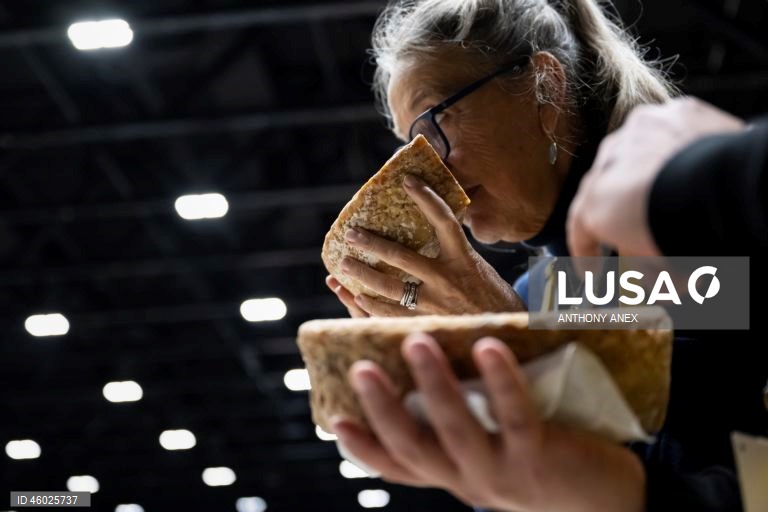 Suíça: 37.ª edição do World Cheese Awards em Berna