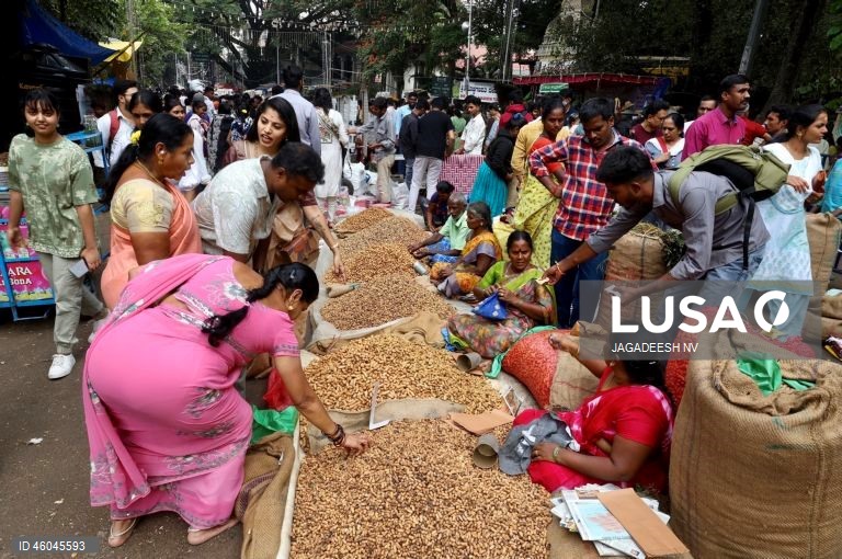Índia: Feira anual do amendoim em Bangalore