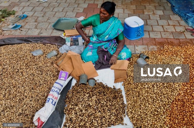 Índia: Feira anual do amendoim em Bangalore