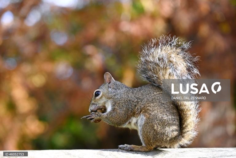 Itália: Dia de Outono em Milão