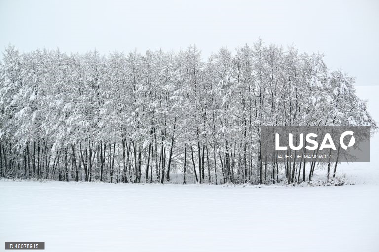 Polónia: Forte nevão no sudeste