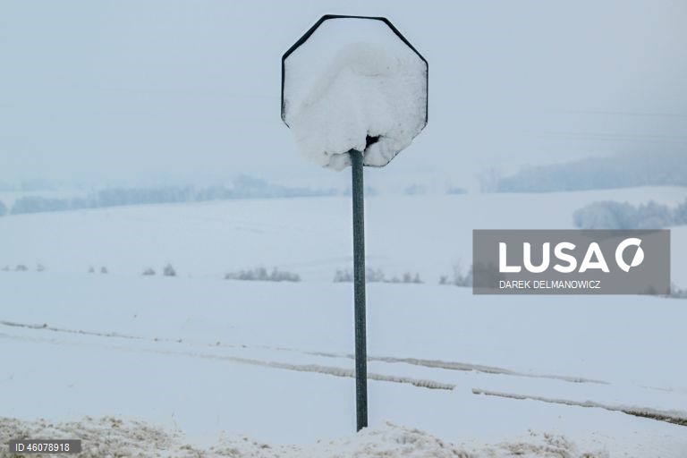 Polónia: Forte nevão no sudeste