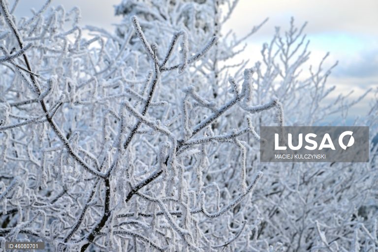 Polónia: Forte nevão no sudeste