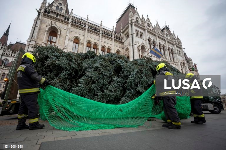 Preparações para o Natal na Hungria