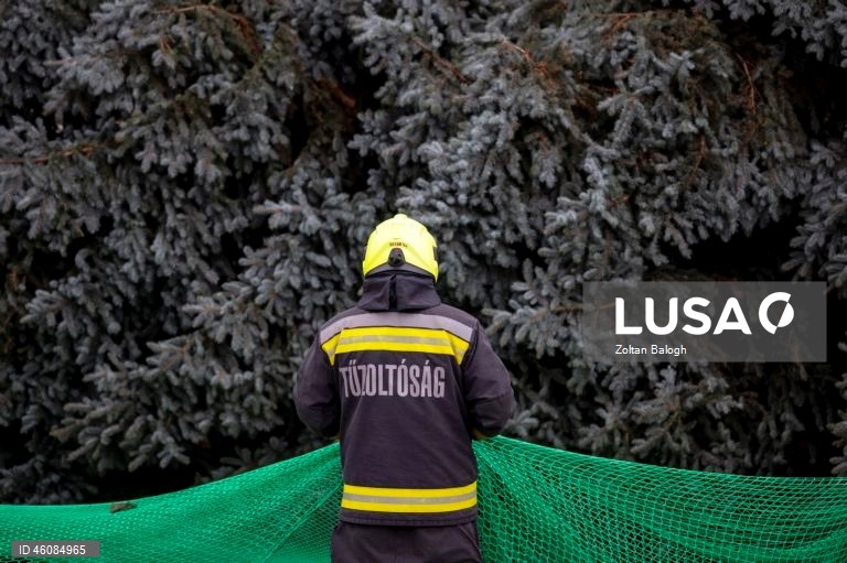 Preparações para o Natal na Hungria