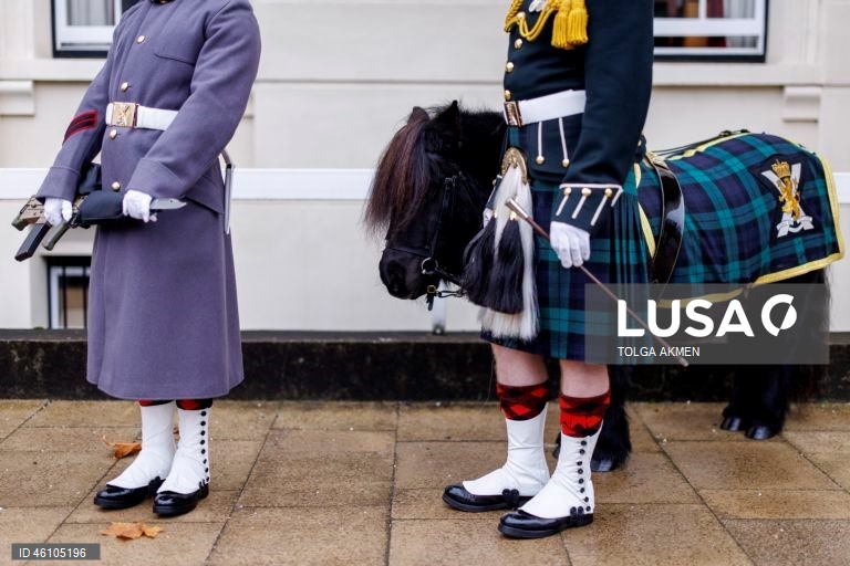 Empresa Balaklava pronta para assumir as funções cerimoniais da Guarda Real em Londres