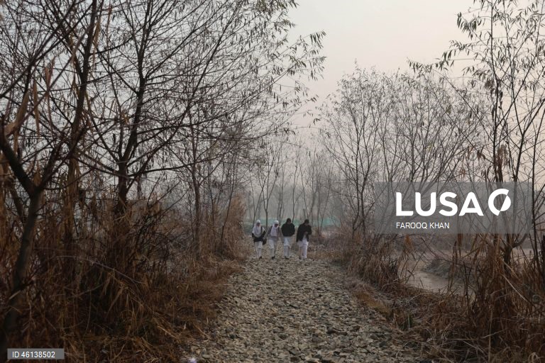 Índia: Onda de frio atinge Srinagar