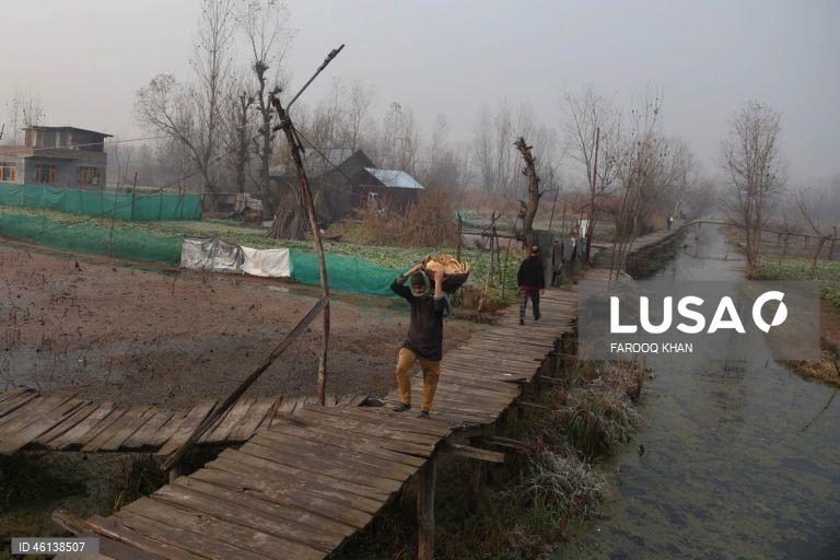 Índia: Onda de frio atinge Srinagar