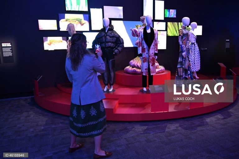 Austrália: Exposição "Hallyu! The Korean Wave" em Canberra