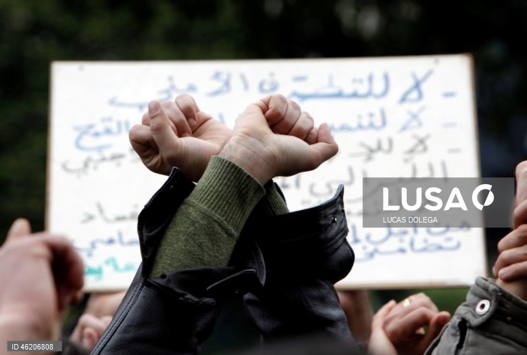 15º aniversário da Primavera Árabe