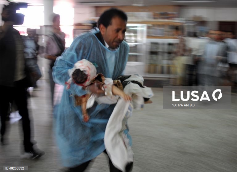 15º aniversário da Primavera Árabe