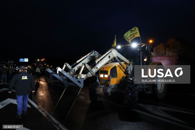 França: Agricultores protestam contra abate de rebanhos inteiros durante surtos de doença cutânea nodular