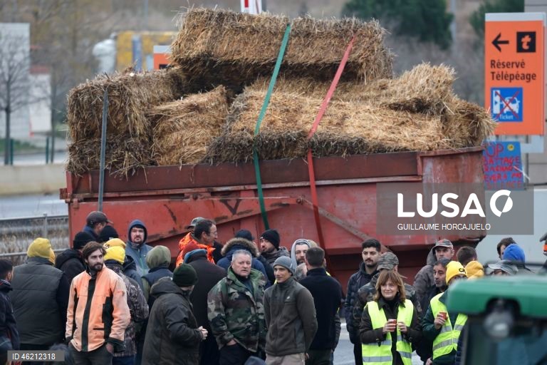França: Agricultores protestam contra abate de rebanhos inteiros durante surtos de doença cutânea nodular