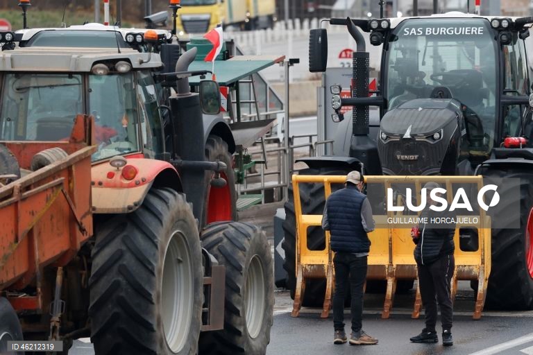 França: Agricultores protestam contra abate de rebanhos inteiros durante surtos de doença cutânea nodular