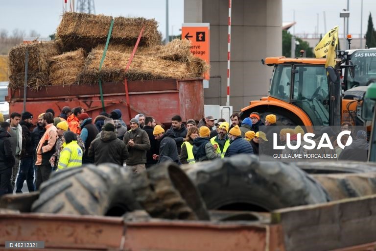 França: Agricultores protestam contra abate de rebanhos inteiros durante surtos de doença cutânea nodular