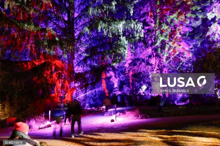 EUA: Instalação de luzes no Jardim Botânico de São Francisco