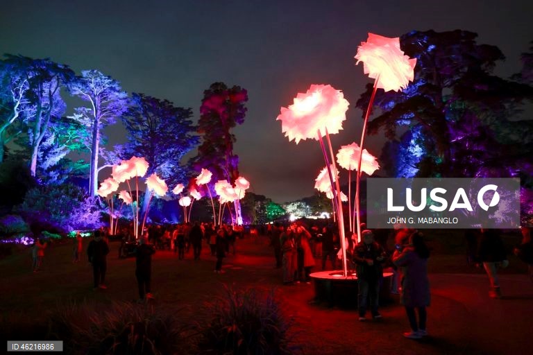 EUA: Instalação de luzes no Jardim Botânico de São Francisco