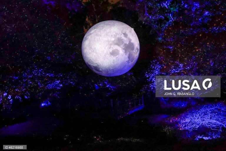 EUA: Instalação de luzes no Jardim Botânico de São Francisco