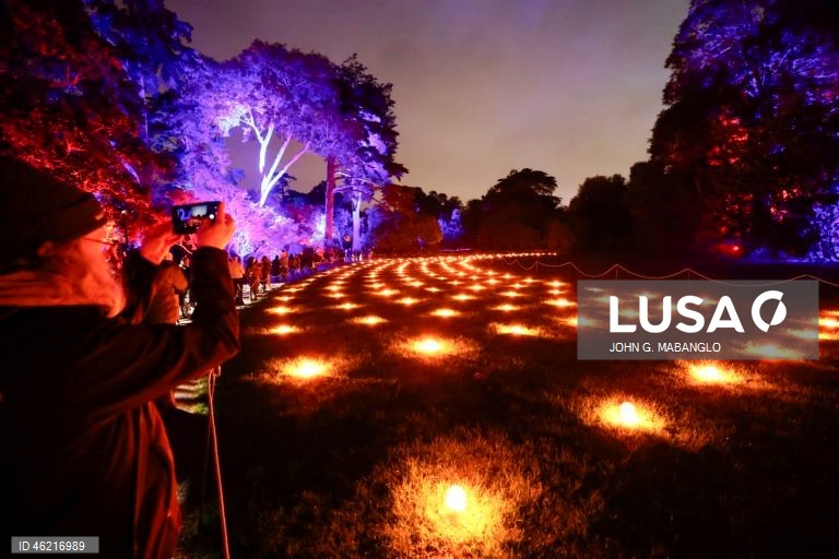 EUA: Instalação de luzes no Jardim Botânico de São Francisco