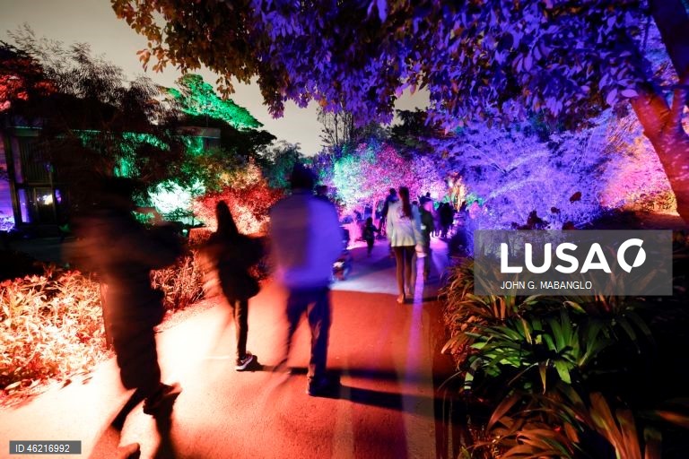 EUA: Instalação de luzes no Jardim Botânico de São Francisco
