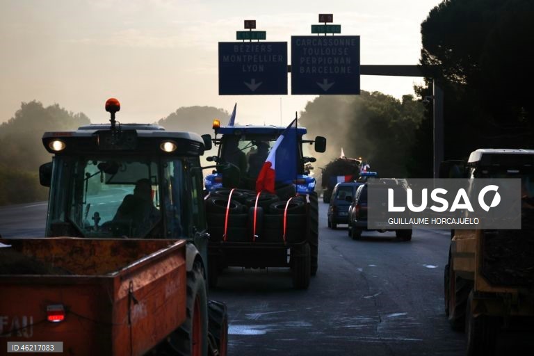 As autoridades francesas decidiram abater rebanhos inteiros de gado se fosse detetado um caso de doença da pele nodular, uma decisão criticada pelos agricultores já afetados por proibições de exportação e graves perdas económicas. Vários surtos da doença da pele nodular foram detetados em França nos últimos meses. O vírus, transmitido por insetos, afeta bovinos e búfalos, mas não apresenta riscos para a saúde humana.