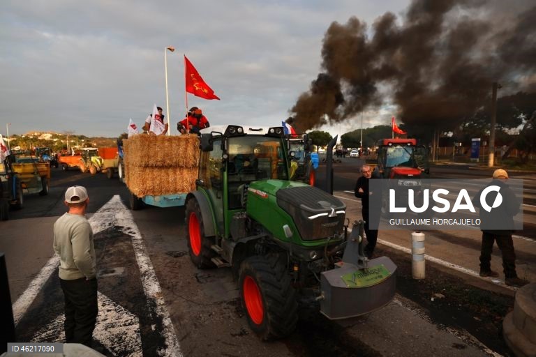 As autoridades francesas decidiram abater rebanhos inteiros de gado se fosse detetado um caso de doença da pele nodular, uma decisão criticada pelos agricultores já afetados por proibições de exportação e graves perdas económicas. Vários surtos da doença da pele nodular foram detetados em França nos últimos meses. O vírus, transmitido por insetos, afeta bovinos e búfalos, mas não apresenta riscos para a saúde humana.