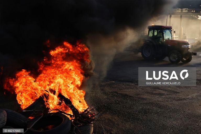 As autoridades francesas decidiram abater rebanhos inteiros de gado se fosse detetado um caso de doença da pele nodular, uma decisão criticada pelos agricultores já afetados por proibições de exportação e graves perdas económicas. Vários surtos da doença da pele nodular foram detetados em França nos últimos meses. O vírus, transmitido por insetos, afeta bovinos e búfalos, mas não apresenta riscos para a saúde humana.