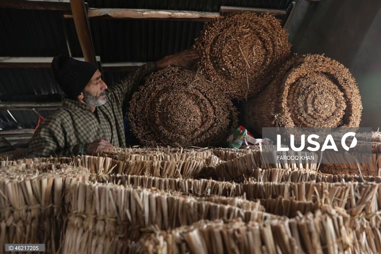 Índia: Tecelagem de esteiras tradicionais de palha em Srinagar, Caxemira
